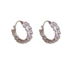 Special-interest Design Zircon Wheat Earring