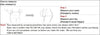 Customized Printing Your Custom Texts Thong Female Lingerie Red Cotton Underwear for Womens Soft Seamless Invisible Breathable