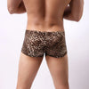 Pantie Men Boxer Briefs Briefs Men's Cotton Spandex Leopard Printed Boxer Briefs Low Rise Underpants Fitness Shorts