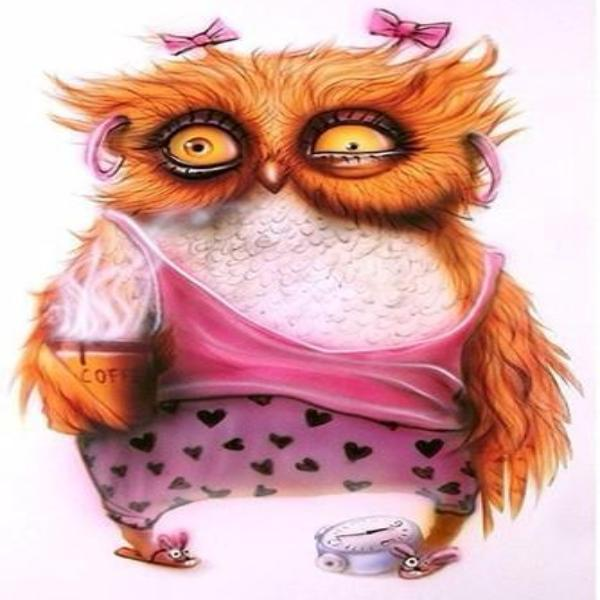 Special Shaped Animal Owl Cute Diamond Painting Kit - DIY