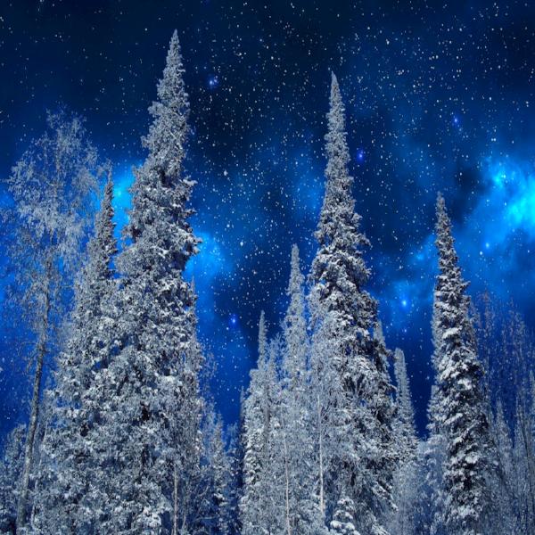 Winter Night Sky Diamond Painting Kit with Free Shipping – 5D Diamond  Paintings