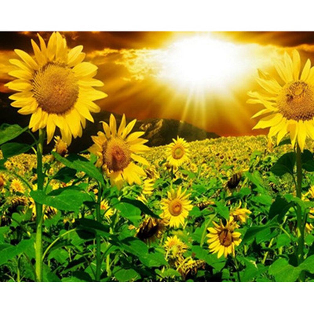 2 Pack Diamond Painting Kits for Adults,Sunflowers 5D Diamond Art