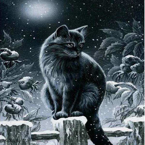 Starry Night Black Cats - Diamond Paintings 