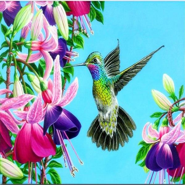 Flying Beautiful Hummingbird - 5D Diamond Painting 