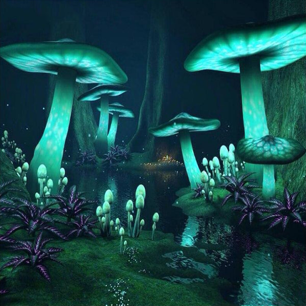 Fantasy Mushrooms Land Best Bead Art Kits – Best Diamond Paintings