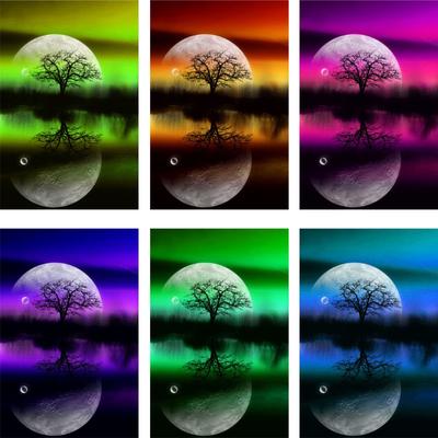 Moonlight Tree Color Collection 5D Diamond Painting Kit