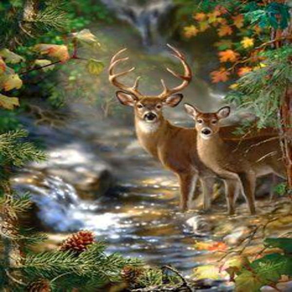 Forest Shade 5D Diamond Painting Kit