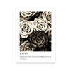 Fashion Flower Woman Poster And Print Cocoa Quote Wall Art Painting On Canvas