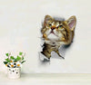 Vatican new cute cat wall stickers living room bedroom decorations creative 3D animal wall stickers bathroom toilet stickers