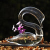 Creative Glass Vases For Decorative Crafts Of New Houses