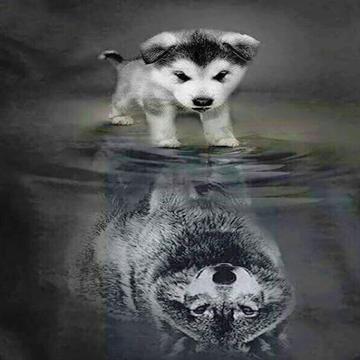 Wolf Within 5D Diamond Painting Kit