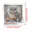 5D Owl Diamond Painting Kit - Adult crafters, gift-givers, home decorators - Irregular, Canvas - Suitable for Home Decor, Party Decor, Gift Giving