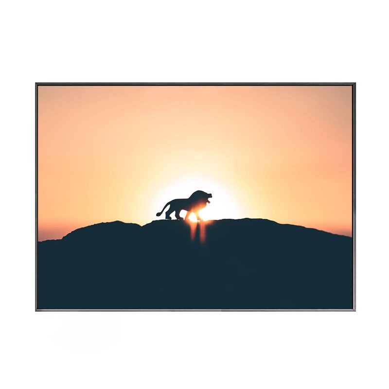 Art Pavilion Living Room Decorative Painting Canvas Core Spray Painting Hanging Picture