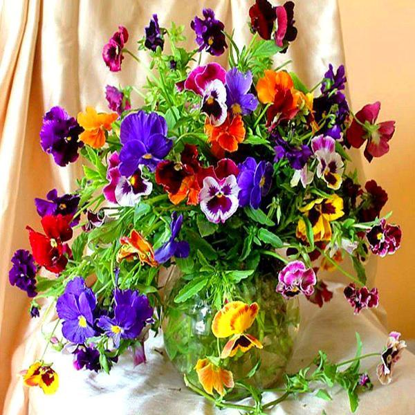 Colorful Violets 5D Diamond Painting Kit