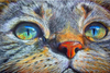 Diamond Painting Kit Cat