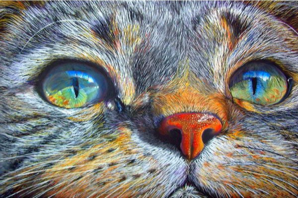 Diamond Painting Kit Cat
