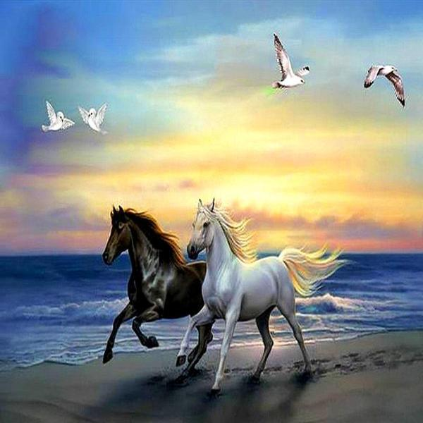 Sunset Gallop 5D Diamond Painting Kit