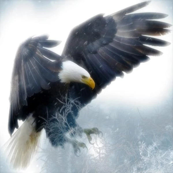 Bald Eagle Strike 5D Diamond Painting Kit