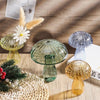 New Transparent Glass Flower Bottle Hydroponic Flower Pumpkin Glass Vase Mushroom Home Decoration Flower