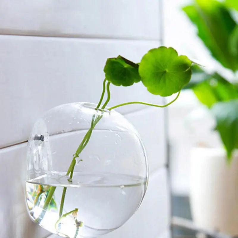 2022 New Hanging Flower Pot Glass Ball Vase Terrarium Wall Fish Tank Aquarium Container Home Decoration 10cm 12cm 15cm