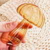 New Transparent Glass Flower Bottle Hydroponic Flower Pumpkin Glass Vase Mushroom Home Decoration Flower