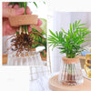 Hydroponic Plants Glass Flower Pots Home Decoration Transparent Small Vase Plant Pots With Base Tray For Garden Accessories