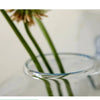 2022 New Hanging Flower Pot Glass Ball Vase Terrarium Wall Fish Tank Aquarium Container Home Decoration 10cm 12cm 15cm