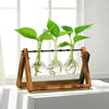 3 Bottles Wooden Stand Flower Vase Planter Ins Style Garden Office Hydroponic Decor Retro Plants Pot With Wooden Support 2024