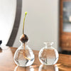 Transparent Avocado Hydroponic Vase Simple Glass Seed Starter Vase Plant Vase Aromatherapy Bottle Seed Growing Kit Nice Gift