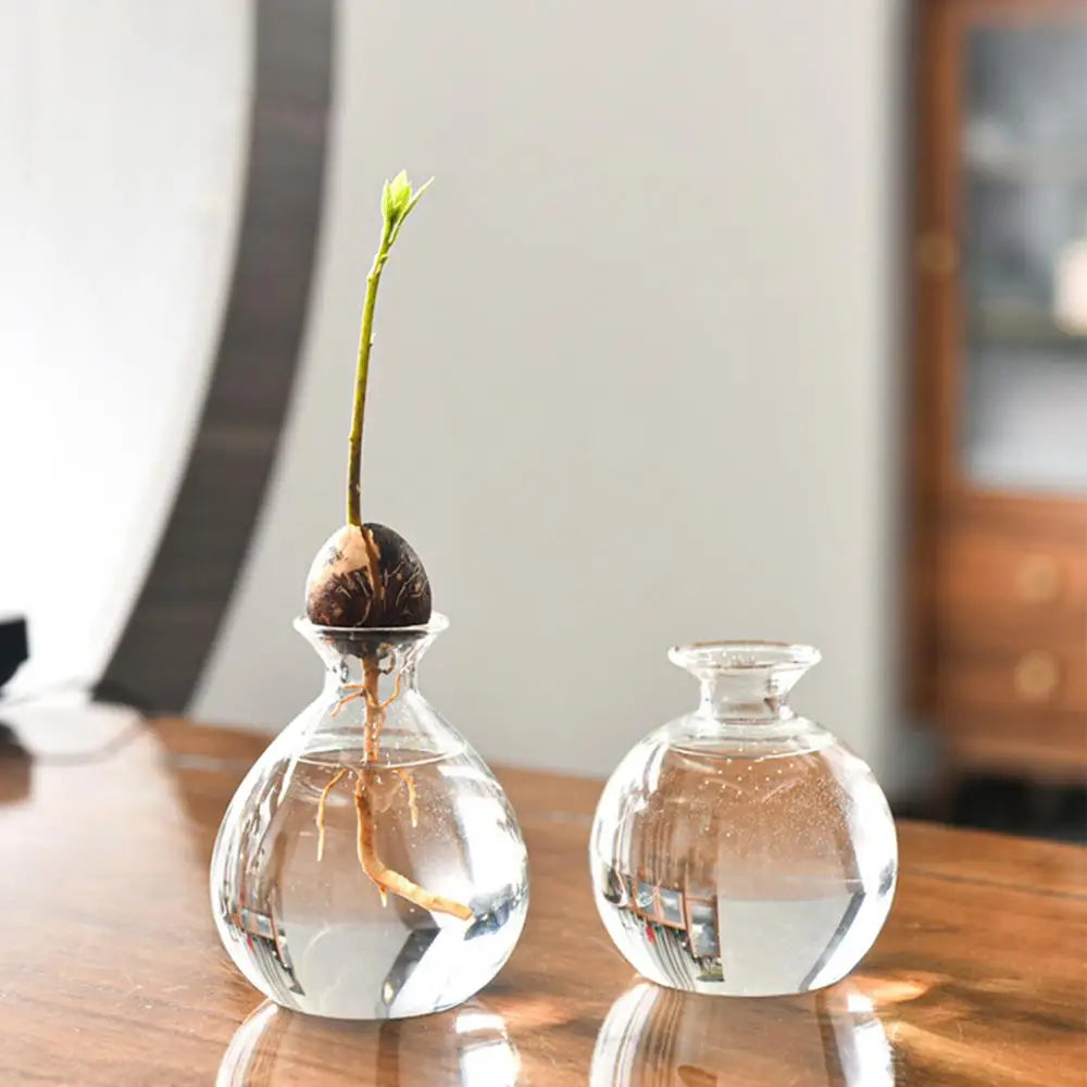 Avocado Seed Starters Vase Avocado Vase for Growing Avocado Seed Growing Kit Plant Glass with Stickers Gift for Gardening Lovers