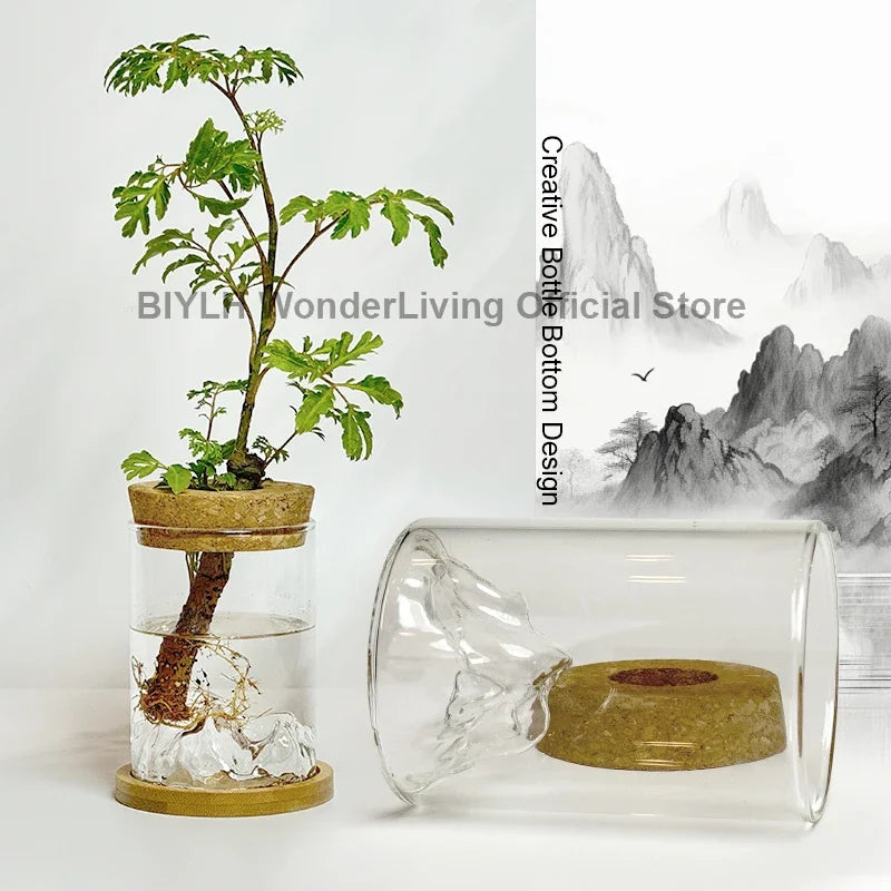 Glass Plant Pot Hydroponic Plants Flower Pot Interior Decorative Planters Transparent Flower Vase Decor Home Garden Accessories