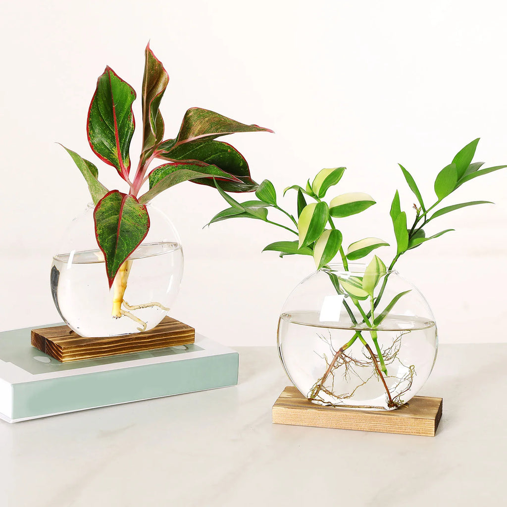 Transparent Flower Vase Plant Terrarium with Wooden Stand Tabletop Plant Pot for Home Living Room Office Garden Decoration