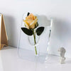 20×15cm Creative Art Acrylic Photo Frame Vase Hydroponic Flower Arrangement Device Transparent Vase Home Decoration Ornaments