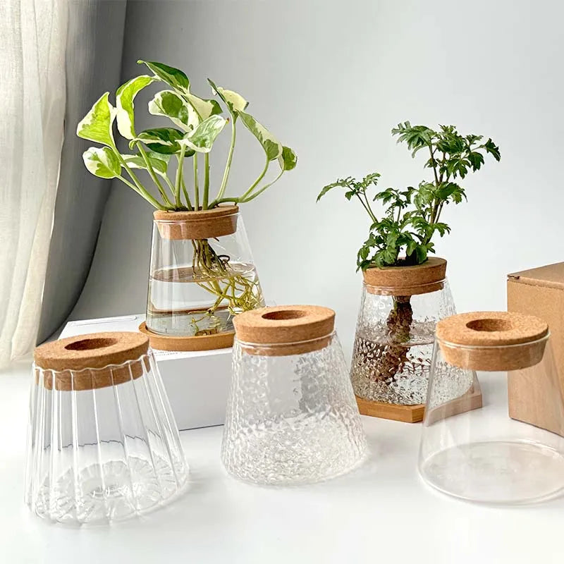 Hydroponic Plants Glass Flower Pots Home Decoration Transparent Small Vase Plant Pots With Base Tray For Garden Accessories