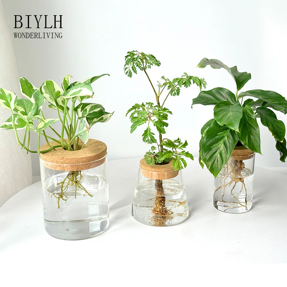 Hydroponic Glass Vase for Plant Cultivation Home Decoration Desktop Decoration Small Flower Pot Garden Accessories Pot for Plant