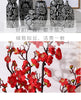 Vintage Printed Ceramic Vase, Plum Blossom, Dried Flower, Water, Decorative, Home Furnishings, Room Decor