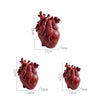 Vase Container Simulation Anatomical Heart-shaped  Dried Flower Pot Art Vase Human Statue Desktop Home Decoration Ornaments