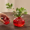 Pomegranate Glass Vase For Hydroponic Flower Arrangement Home Decoration Table Decor Small Red Vase Hydroponic System Plant Pot