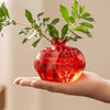 Pomegranate Glass Vase For Hydroponic Flower Arrangement Home Decoration Table Decor Small Red Vase Hydroponic System Plant Pot