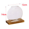 Transparent Flower Vase Plant Terrarium with Wooden Stand Tabletop Plant Pot for Home Living Room Office Garden Decoration