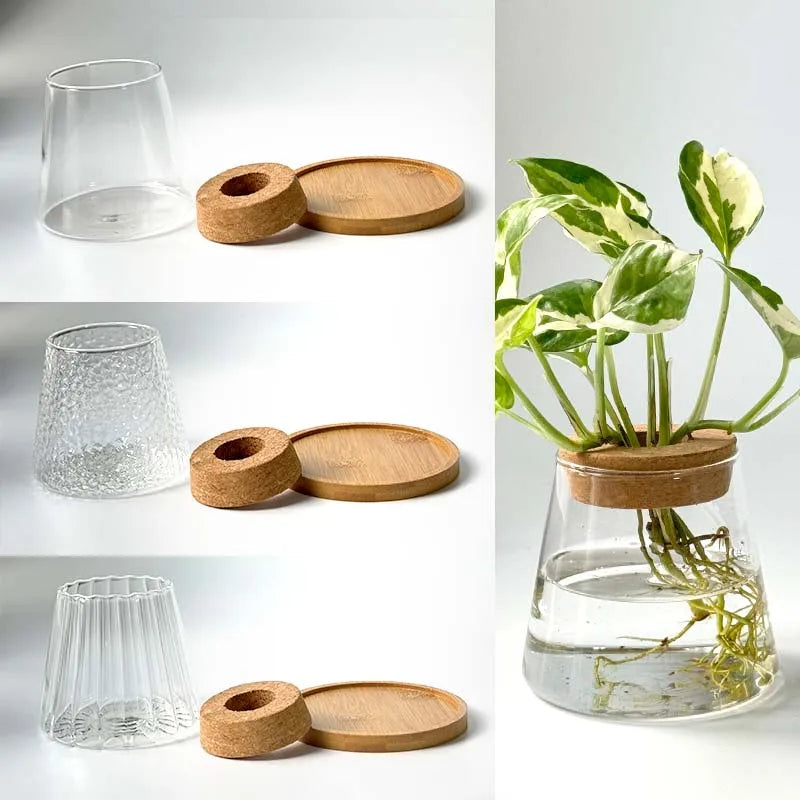 Hydroponic Plants Glass Flower Pots Home Decoration Transparent Small Vase Plant Pots With Base Tray For Garden Accessories