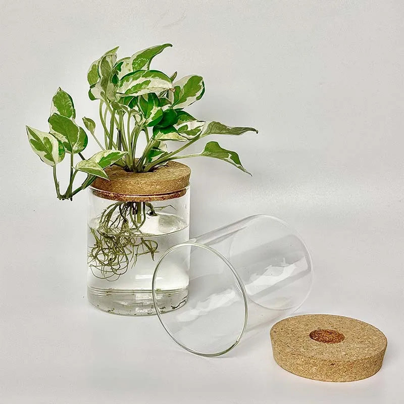 Hydroponic Glass Vase for Plant Cultivation Home Decoration Desktop Decoration Small Flower Pot Garden Accessories Pot for Plant