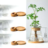 Hydroponic Plants Glass Flower Pots Home Decoration Transparent Small Vase Plant Pots With Base Tray For Garden Accessories