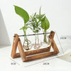 3 Bottles Wooden Stand Flower Vase Planter Ins Style Garden Office Hydroponic Decor Retro Plants Pot With Wooden Support 2024