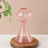 New Transparent Glass Flower Bottle Hydroponic Flower Pumpkin Glass Vase Mushroom Home Decoration Flower