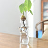 Transparent Glass Body Vase Avocado Seed Starters Vase Seed Growing Kit Avocado Vase For Gardening Lovers Home Decor