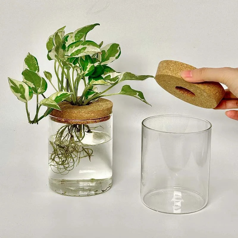 Hydroponic Glass Vase for Plant Cultivation Home Decoration Desktop Decoration Small Flower Pot Garden Accessories Pot for Plant