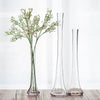 GIEMZA Transparent Glass Vases for Plant Bottle Flower Pot 1pc Nordic Creative Hydroponic Terrarium Arrangement Container Table