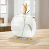 Transparent Flower Vase Plant Terrarium with Wooden Stand Tabletop Plant Pot for Home Living Room Office Garden Decoration