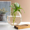 Transparent Flower Vase Plant Terrarium with Wooden Stand Tabletop Plant Pot for Home Living Room Office Garden Decoration